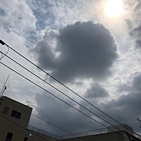 鍼灸予約 4月7日(土) 曇りのち晴れ 最高気温15℃(京都の鍼灸院　泰楽)サムネイル