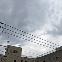 鍼灸予約 4月9日(月) 曇りのち晴れ 最高気温18℃(京都の鍼灸院　泰楽)サムネイル