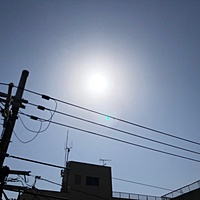 鍼灸予約 4月10日(火) 晴れ 最高気温23℃(京都の鍼灸院　泰楽)サムネイル