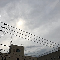 鍼灸予約 4月11日(水) 曇りのち雨 最高気温22℃(京都の鍼灸院　泰楽)サムネイル