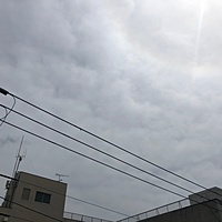 鍼灸予約 4月12日(木) 晴れ 最高気温25℃(京都の鍼灸院　泰楽)サムネイル