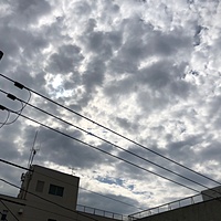 鍼灸予約 4月14日(土) 曇りのち雨 最高気温22℃(京都の鍼灸院　泰楽)サムネイル