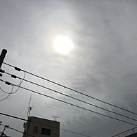 鍼灸予約 4月17日(火) 曇りのち雨 最高気温18℃(京都の鍼灸院　泰楽)サムネイル