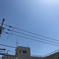 鍼灸予約 4月19日(木) 晴れ 最高気温26℃(京都の鍼灸院　泰楽)サムネイル