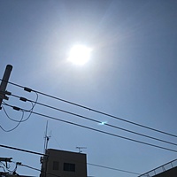 鍼灸予約 4月20日(金) 晴れ 最高気温29℃(京都の鍼灸院　泰楽)サムネイル