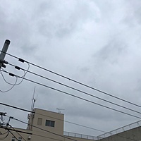 鍼灸予約 4月24日(火) 雨 最高気温22℃(京都の鍼灸院　泰楽)サムネイル