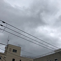 鍼灸予約 4月25日(水) 曇り 最高気温19℃(京都の鍼灸院　泰楽)サムネイル