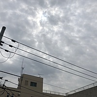 鍼灸予約 4月27日(金) 曇り 最高気温23℃(京都の鍼灸院　泰楽)サムネイル