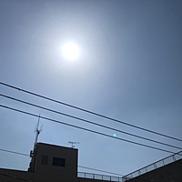 鍼灸予約 4月28日(土) 晴れ 最高気温26℃(京都の鍼灸院　泰楽)サムネイル