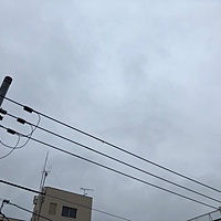 鍼灸予約 5月7日(月) 雨 最高気温22℃(京都の鍼灸院　泰楽)サムネイル