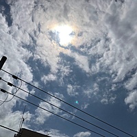 鍼灸予約 5月9日(水) 曇りのち晴れ 最高気温20℃(京都の鍼灸院　泰楽)サムネイル