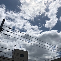 鍼灸予約 5月10日(木) 曇りのち晴れ 最高気温20℃(京都の鍼灸院　泰楽)サムネイル