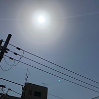 鍼灸予約 5月15日(火) 晴れ 最高気温31℃(京都の鍼灸院　泰楽)サムネイル