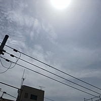 鍼灸予約 5月16日(水) 晴れのち曇り 最高気温29℃(京都の鍼灸院　泰楽)サムネイル