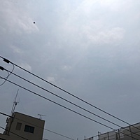 鍼灸予約 5月17日(木) 曇り 最高気温30℃(京都の鍼灸院　泰楽)サムネイル