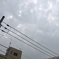 鍼灸予約 5月18日(金) 曇りのち雨 最高気温29℃(京都の鍼灸院　泰楽)サムネイル