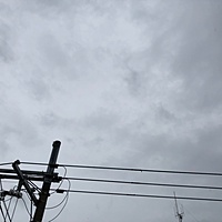 鍼灸予約 5月23日(水) 曇りのち雨 最高気温20℃(京都の鍼灸院　泰楽)サムネイル