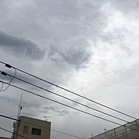 鍼灸予約 5月28日(月) 曇り 最高気温28℃(京都の鍼灸院　泰楽)サムネイル