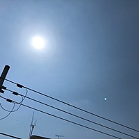 鍼灸予約 6月4日(月) 晴れ 最高気温30℃(京都の鍼灸院　泰楽)サムネイル