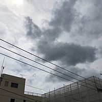 鍼灸予約 6月5日(火) 曇りのち雨 最高気温29℃(京都の鍼灸院　泰楽)サムネイル