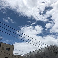 鍼灸予約 6月7日(木) 曇りのち晴れ 最高気温30℃(京都の鍼灸院　泰楽)サムネイル
