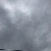 鍼灸予約 6月11日(月) 曇りのち雨 最高気温27℃(京都の鍼灸院　泰楽)サムネイル