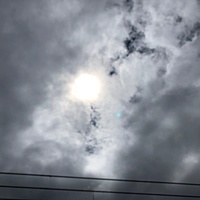 鍼灸予約 6月12日(火) 曇りのち雨 最高気温26℃(京都の鍼灸院　泰楽)サムネイル