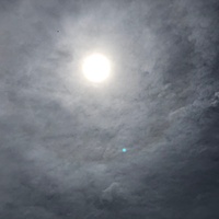 鍼灸予約 6月14日(木) 晴れのち曇り 最高気温29℃(京都の鍼灸院　泰楽)サムネイル