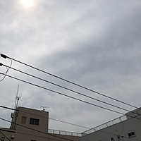 鍼灸予約 6月22日(金) 晴れ 最高気温32℃(京都の鍼灸院　泰楽)サムネイル