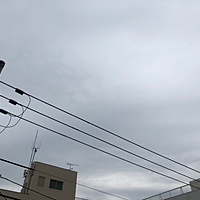 鍼灸予約 6月23日(土) 曇り時々雨 最高気温25℃(京都の鍼灸院　泰楽)サムネイル