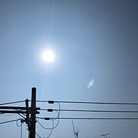 鍼灸予約 6月25日(月) 晴れ 最高気温35℃(京都の鍼灸院　泰楽)サムネイル