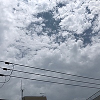 鍼灸予約 6月28日(水) 曇り 最高気温33℃(京都の鍼灸院　泰楽)サムネイル