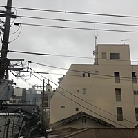鍼灸予約 7月5日(木) 雨 最高気温27℃(京都の鍼灸院　泰楽)サムネイル