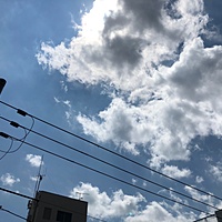 鍼灸予約 7月20日(金) 晴れ時々曇り 最高気温38℃(京都の鍼灸院　泰楽)サムネイル