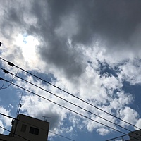 鍼灸予約 7月30日(月) 晴れのち曇り 最高気温35℃(京都の鍼灸院　泰楽)サムネイル