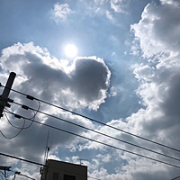 鍼灸予約 8月6日(月) 晴れのち曇り 最高気温37℃(京都の鍼灸院　泰楽)サムネイル