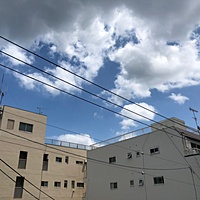 鍼灸予約 8月7日(火) 晴れのち曇り 最高気温35℃(京都の鍼灸院　泰楽)サムネイル
