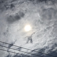 鍼灸予約 8月20日(月) 晴れのち曇り 最高気温32℃(京都の鍼灸院　泰楽)サムネイル