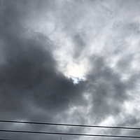 鍼灸予約 8月21日(火) 曇り 最高気温34℃(京都の鍼灸院　泰楽)サムネイル