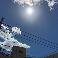 鍼灸予約 8月22日(水) 晴れのち曇り 最高気温36℃(京都の鍼灸院　泰楽)サムネイル
