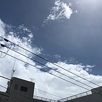 鍼灸予約 8月23日(木) 晴れのち曇り 最高気温33℃(京都の鍼灸院　泰楽)サムネイル