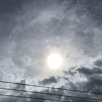 鍼灸予約 8月24日(金) 曇り 最高気温34℃(京都の鍼灸院　泰楽)サムネイル