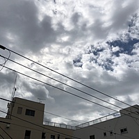鍼灸予約 8月25日(土) 曇り時々晴れ 最高気温34℃(京都の鍼灸院　泰楽)サムネイル
