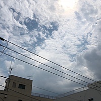 鍼灸予約 8月28日(火) 曇り時々晴れ 最高気温34℃(京都の鍼灸院　泰楽)サムネイル