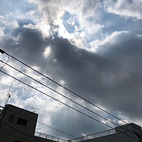 鍼灸予約 8月29日(水) 晴れのち曇り 最高気温36℃(京都の鍼灸院　泰楽)サムネイル