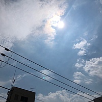 鍼灸予約 8月31日(金) 曇り 最高気温35℃(京都の鍼灸院　泰楽)サムネイル