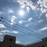 鍼灸予約 9月5日(水) 晴れ 最高気温33℃(京都の鍼灸院　泰楽)サムネイル