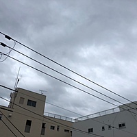 鍼灸予約 9月7日(金) 雨のち曇り 最高気温28℃(京都の鍼灸院　泰楽)サムネイル