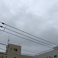 鍼灸予約 9月10日(月) 雨のち曇り 最高気温27℃(京都の鍼灸院　泰楽)サムネイル