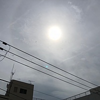 鍼灸予約 9月14日(金) 曇り時々雨 最高気温25℃(京都の鍼灸院　泰楽)サムネイル
